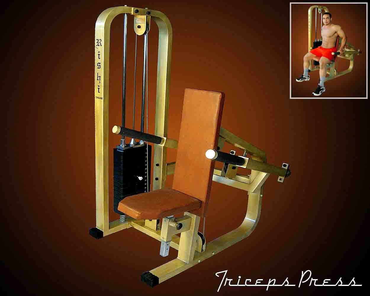 Manufacturers Exporters and Wholesale Suppliers of Triceps Press JODHPUR Rajasthan